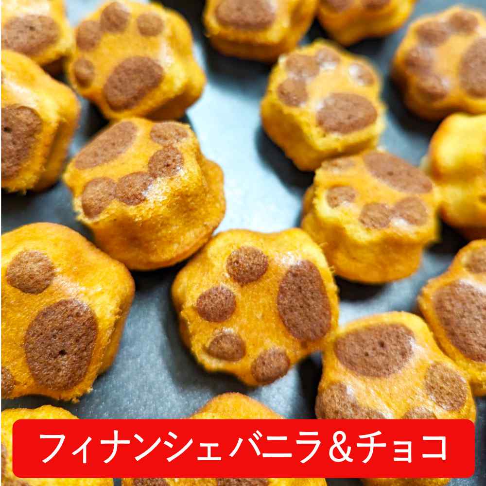 ネコちゃん肉球型フィナンシェ　バニラ＆チョコ